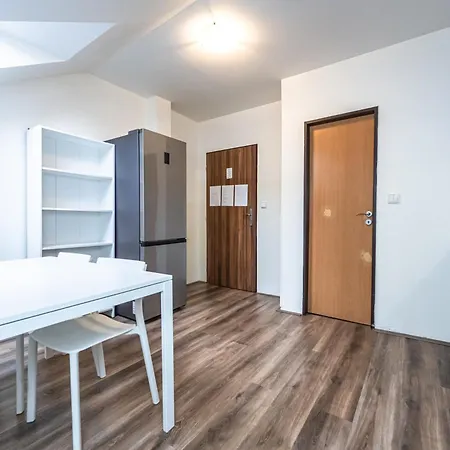 Apartments Kamenicka 23 Prague Exterior photo